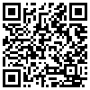 QR Code Handyversion