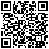 QR Code Handyversion