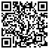 QR Code Handyversion