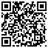 QR Code Handyversion