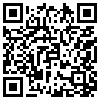 QR Code Handyversion