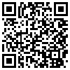 QR Code Handyversion