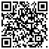 QR Code Handyversion