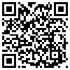 QR Code Handyversion