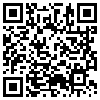 QR Code Handyversion