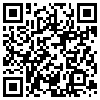 QR Code Handyversion