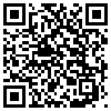 QR Code Handyversion