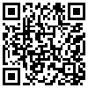 QR Code Handyversion