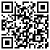 QR Code Handyversion