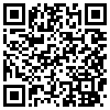 QR Code Handyversion