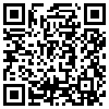 QR Code Handyversion