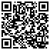 QR Code Handyversion