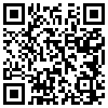 QR Code Handyversion