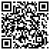QR Code Handyversion