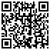 QR Code Handyversion