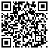 QR Code Handyversion