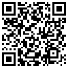 QR Code Handyversion