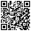 QR Code Handyversion