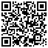 QR Code Handyversion