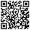 QR Code Handyversion