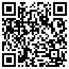 QR Code Handyversion