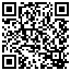 QR Code Handyversion