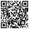 QR Code Handyversion