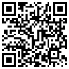 QR Code Handyversion