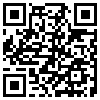 QR Code Handyversion