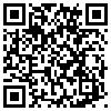 QR Code Handyversion