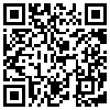 QR Code Handyversion