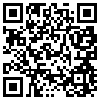 QR Code Handyversion