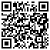 QR Code Handyversion