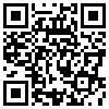 QR Code Handyversion