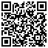 QR Code Handyversion