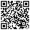 QR Code Handyversion