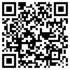 QR Code Handyversion