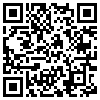 QR Code Handyversion