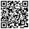 QR Code Handyversion