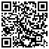 QR Code Handyversion