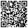 QR Code Handyversion