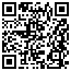 QR Code Handyversion