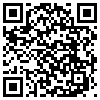 QR Code Handyversion