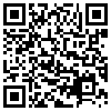 QR Code Handyversion