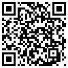 QR Code Handyversion