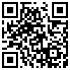 QR Code Handyversion