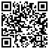 QR Code Handyversion