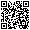 QR Code Handyversion