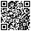 QR Code Handyversion