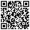 QR Code Handyversion